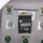 Mr. Danks Golden Ticket (Regular) – Archive Seed Bank | Vault Release