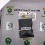 Lost Cause (Regular) – Archive Seed Bank | Vault Release