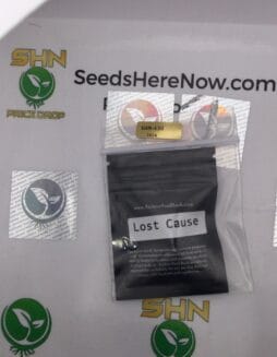 Lost Cause (Regular) – Archive Seed Bank | Vault Release