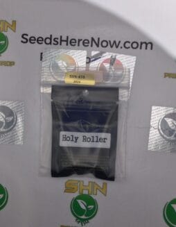 Holly Roller (Regular) – Archive Seed Bank | Vault Release