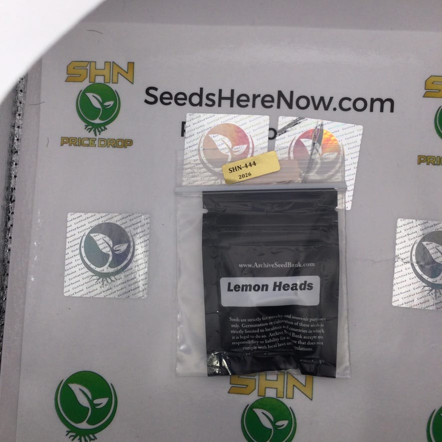 Lemon Heads (Regular) – Archive Seed Bank | Vault Release