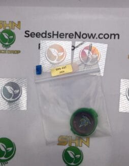 Musty Buffalo (Regular) – Exotic Genetix | Vault Release