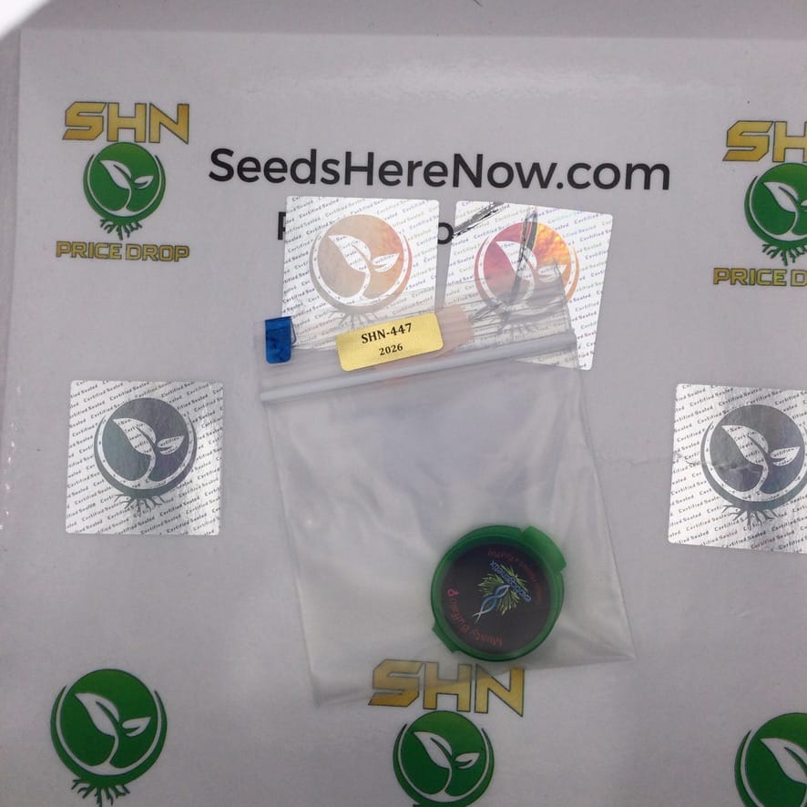 Musty Buffalo (Regular) – Exotic Genetix | Vault Release