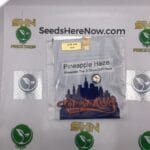 Pineapple Haze (Regular) – Top Dawg Seeds | Vault Release