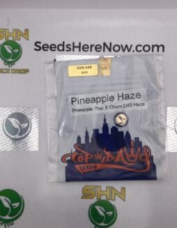 Pineapple Haze (Regular) – Top Dawg Seeds | Vault Release