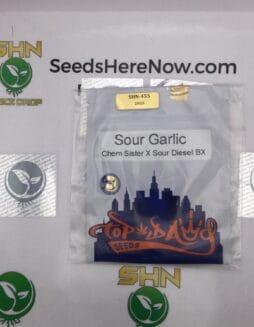Sour Garlic (Regular) – Top Dawg Seeds | Vault Release