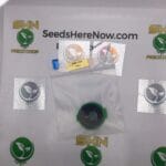 Frizzy Drink (Feminized) – Exotic Genetix | Vault Release