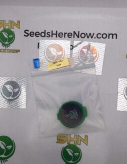 Frizzy Drink (Feminized) – Exotic Genetix | Vault Release