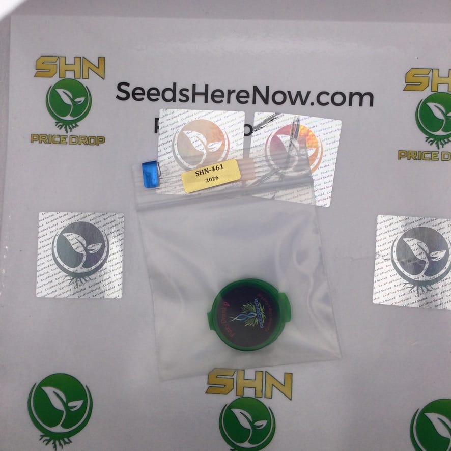 Frizzy Drink (Feminized) – Exotic Genetix | Vault Release