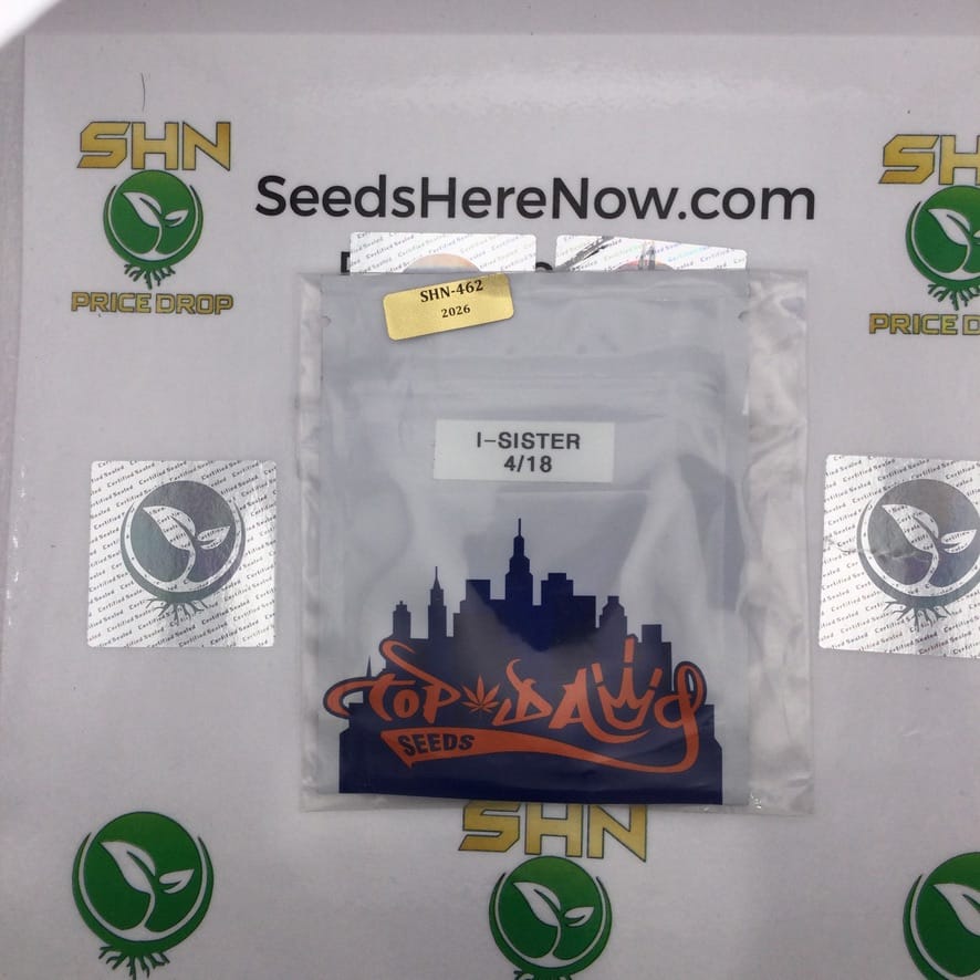 I-Sister (Regular) – Top Dawg Seeds | Vault Release