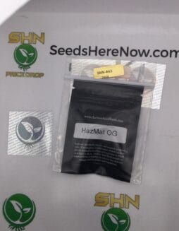 HazeMat OG (Regular) – Archive Seed Bank | Vault Release