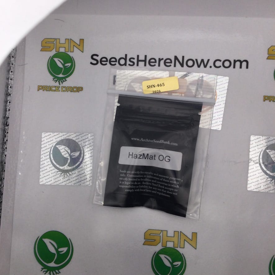 HazeMat OG (Regular) – Archive Seed Bank | Vault Release