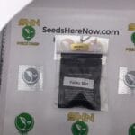 Valley Girl (Regular) – Archive Seed Bank | Vault Release