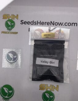 Valley Girl (Regular) – Archive Seed Bank | Vault Release