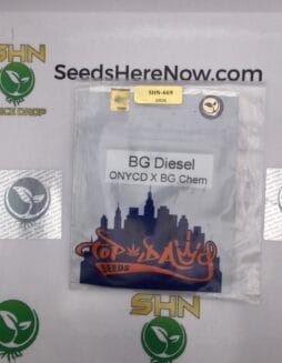BG Diesel (Regular) – Top Dawg Seeds | Vault Release