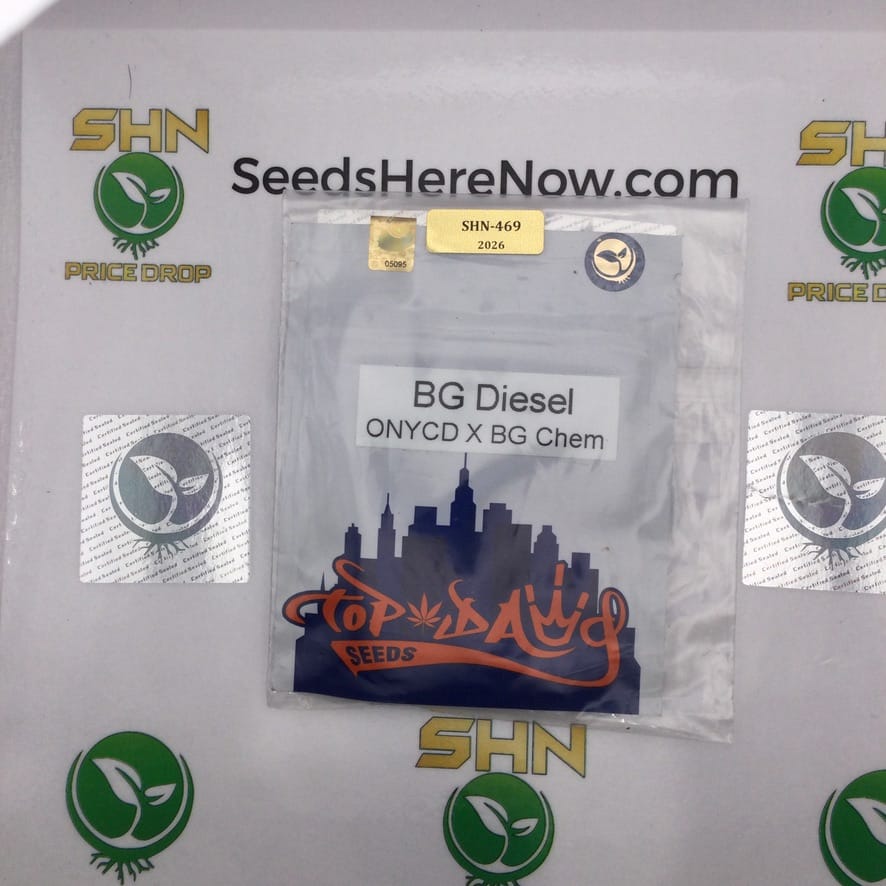 BG Diesel (Regular) – Top Dawg Seeds | Vault Release