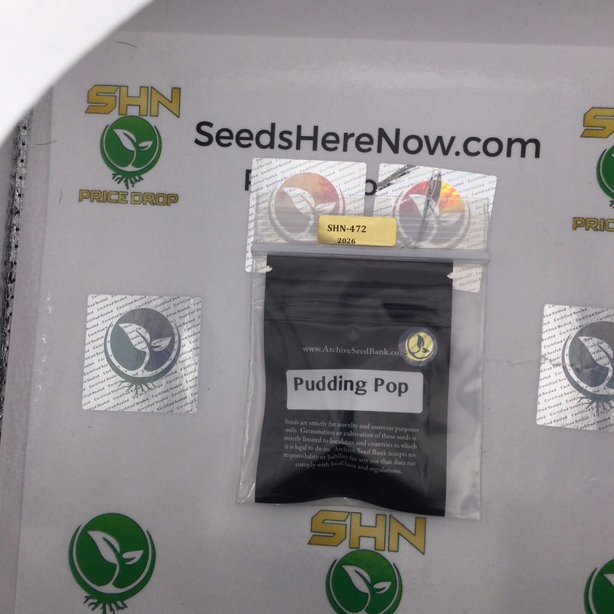 Pudding Pop (Feminized) – Archive Seed Bank | Vault Release