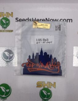 I(space)95 BX3 (Regular) – Top Dawg Seeds | Vault Release