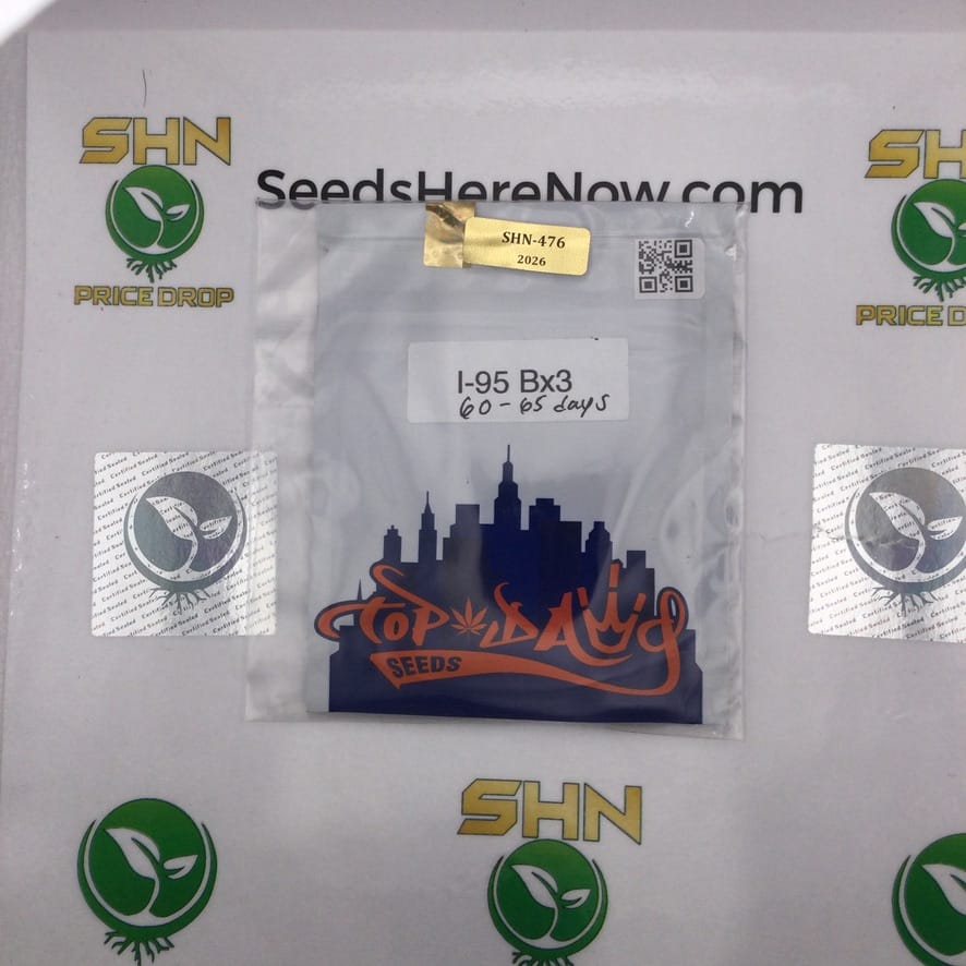 I-95 BX3 (Regular) – Top Dawg Seeds | Vault Release