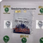 Cherry Dawg (Regular) – Top Dawg Seeds | Vault Release