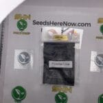 Poochie Love (Regular) – Archive Seed Bank | Vault Release