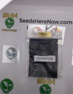 Poochie Love (Regular) – Archive Seed Bank | Vault Release