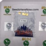 I-Tre (Regular) – Top Dawg Seeds | Vault Release