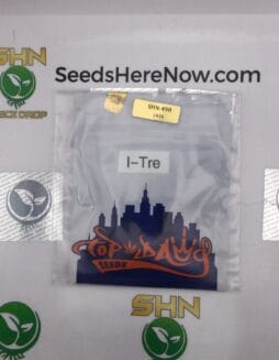 I(space)Tre (Regular) – Top Dawg Seeds | Vault Release