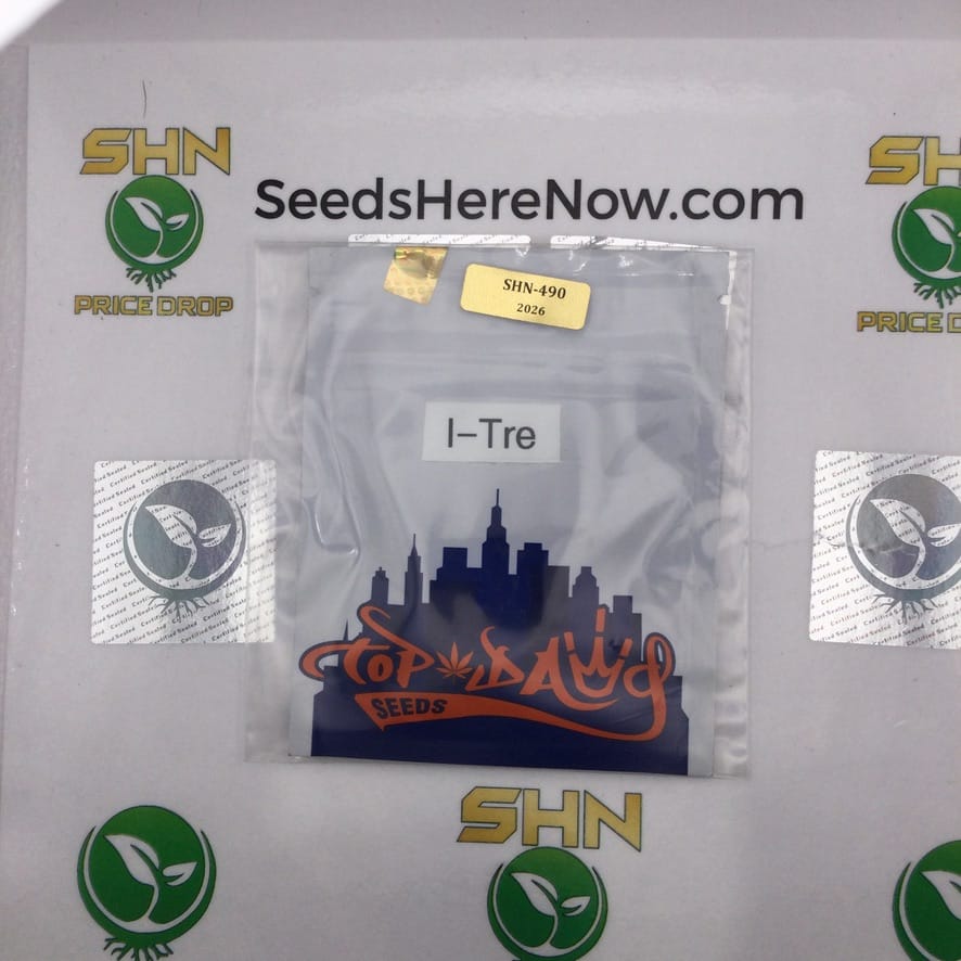I-Tre (Regular) – Top Dawg Seeds | Vault Release