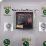 Red Pop S1 (Regular) – Exotic Genetix | Vault Release