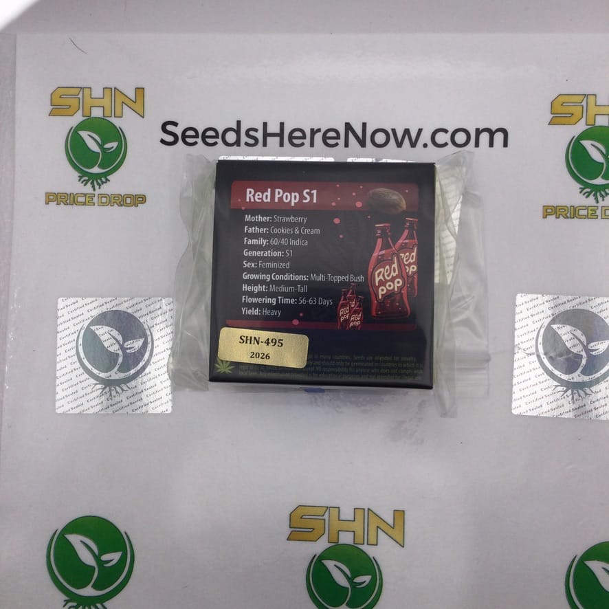 Red Pop S1 (Regular) – Exotic Genetix | Vault Release