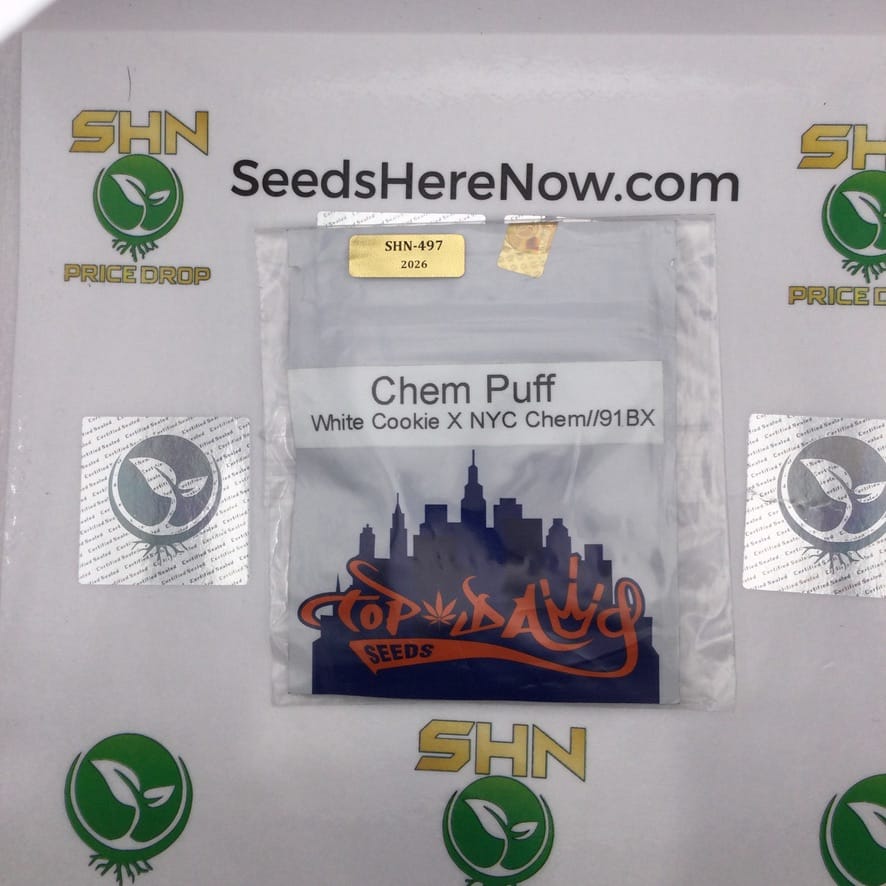 Chem Puff (Regular) – Top Dawg Seeds | Vault Release