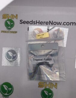 Tropical Fusion (Feminized) – Archive Seed Bank | Vault Release