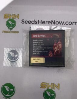 Red Berries (Regular) – Exotic Genetix | Vault Release