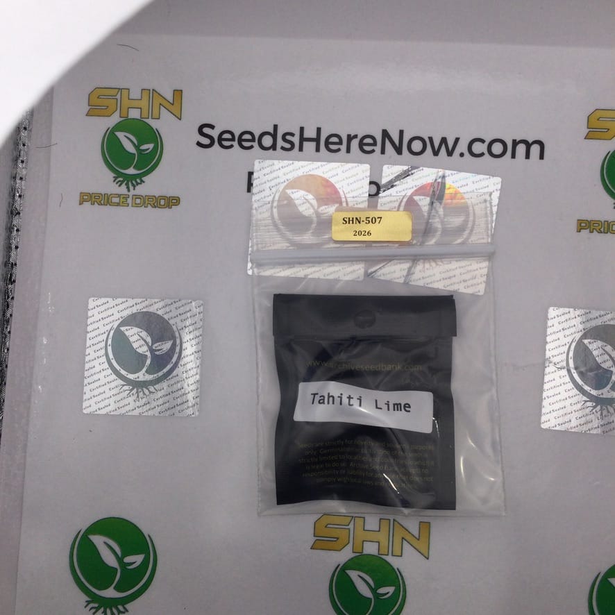 Tahiti Lime (Regular) – Archive Seed Bank | Vault Release