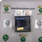 Raunchy Runtz (Regular) – Exotic Genetix | Vault Release