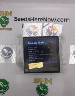 Raunchy Runtz (Regular) – Exotic Genetix | Vault Release