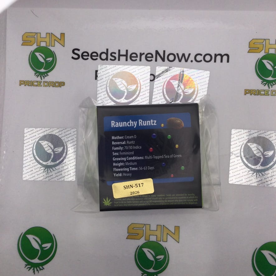 Raunchy Runtz (Regular) – Exotic Genetix | Vault Release