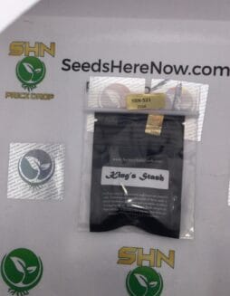 King's Stash (Regular) – Archive Seed Bank | Vault Release
