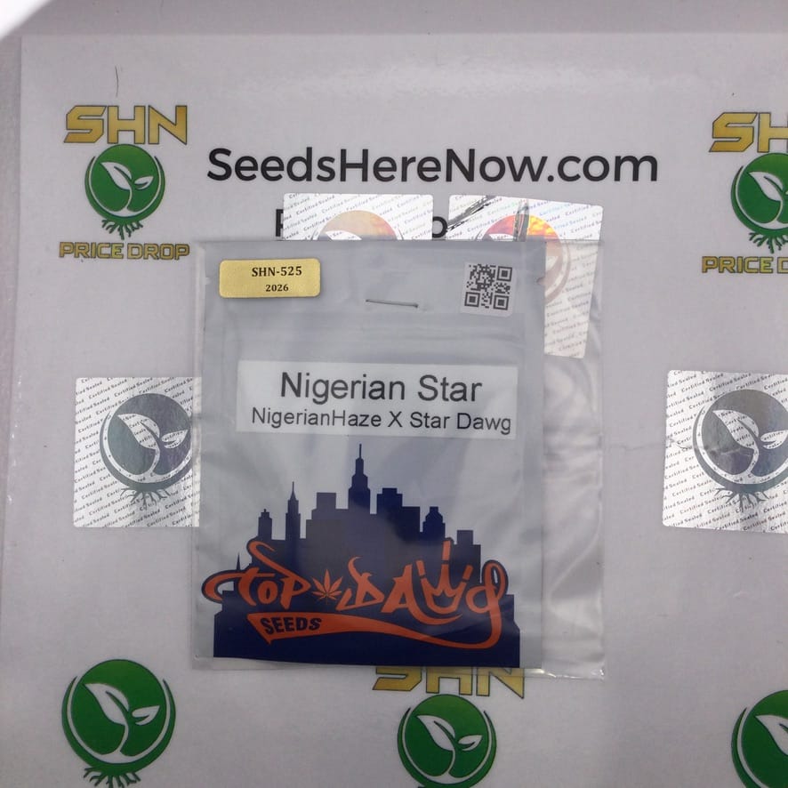 Nigerian Star (Regular) – Top Dawg Seeds | Vault Release
