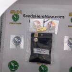 Light Speed (Feminized) – Archive Seed Bank | Vault Release