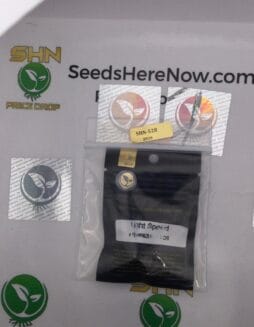 Light Speed (Feminized) – Archive Seed Bank | Vault Release