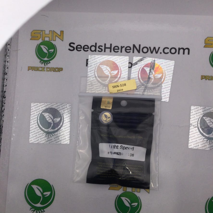 Light Speed (Feminized) – Archive Seed Bank | Vault Release