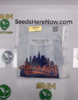 Strawberry Cough Haze (Regular) – Top Dawg Seeds | Vault Release