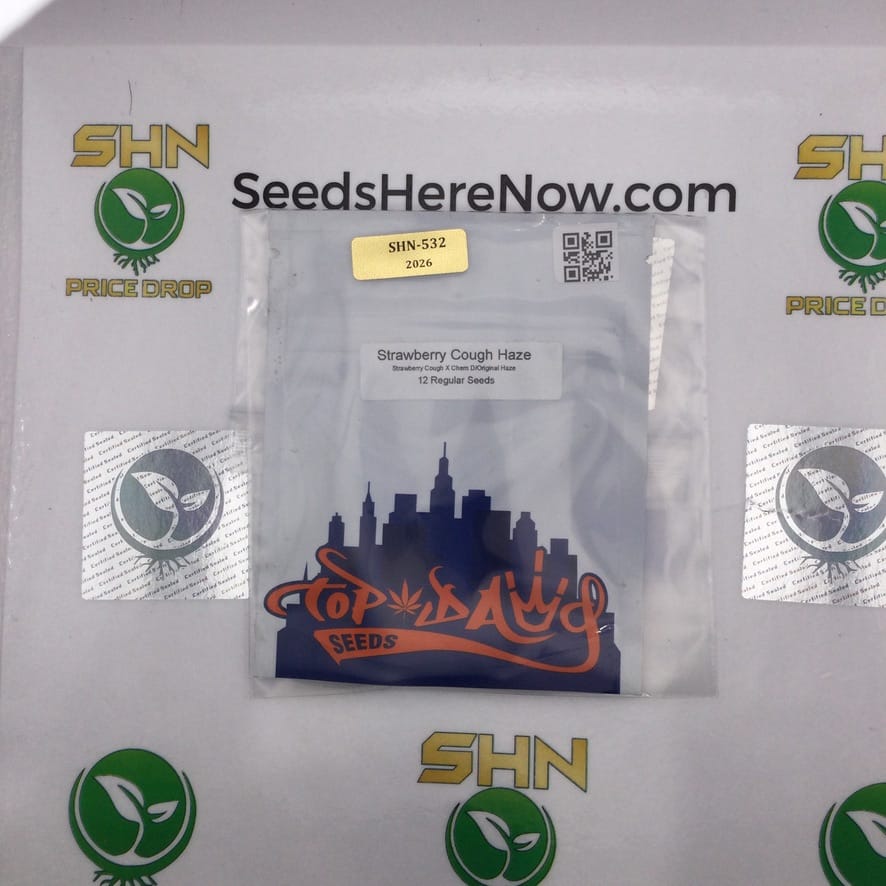 Strawberry Cough Haze (Regular) – Top Dawg Seeds | Vault Release