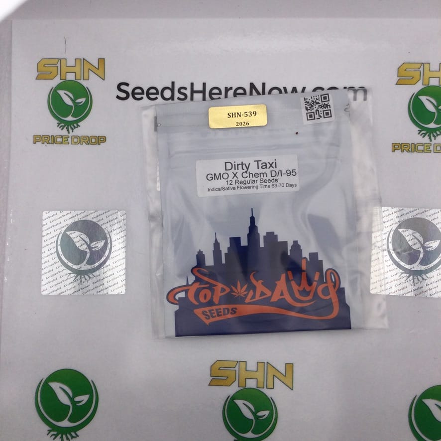 Dirty Taxi (Regular) – Top Dawg Seeds | Vault Release