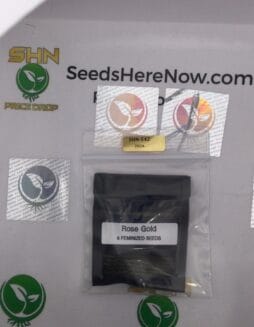 Rose Gold (Feminized) – Archive Seed Bank | Vault Release