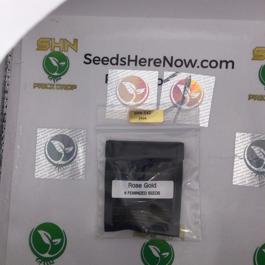 Rose Gold (Feminized) – Archive Seed Bank | Vault Release