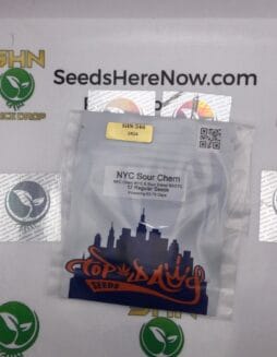 NYC Sour Chem (Regular) – Top Dawg Seeds | Vault Release