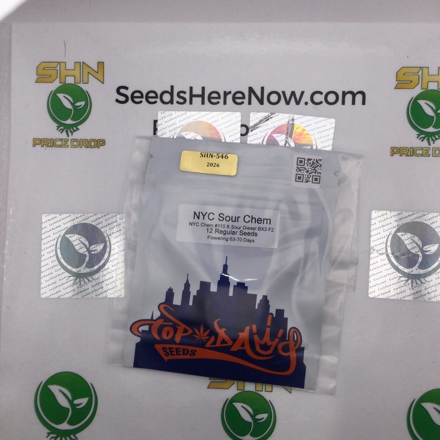NYC Sour Chem (Regular) – Top Dawg Seeds | Vault Release